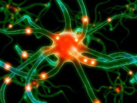 neuron rotator